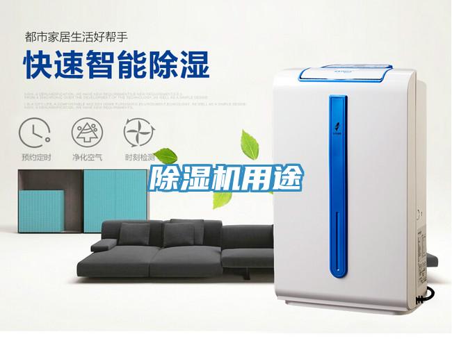 蘑菇视频网站用途