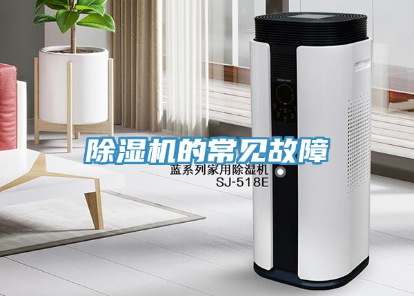 蘑菇视频网站的常見故障