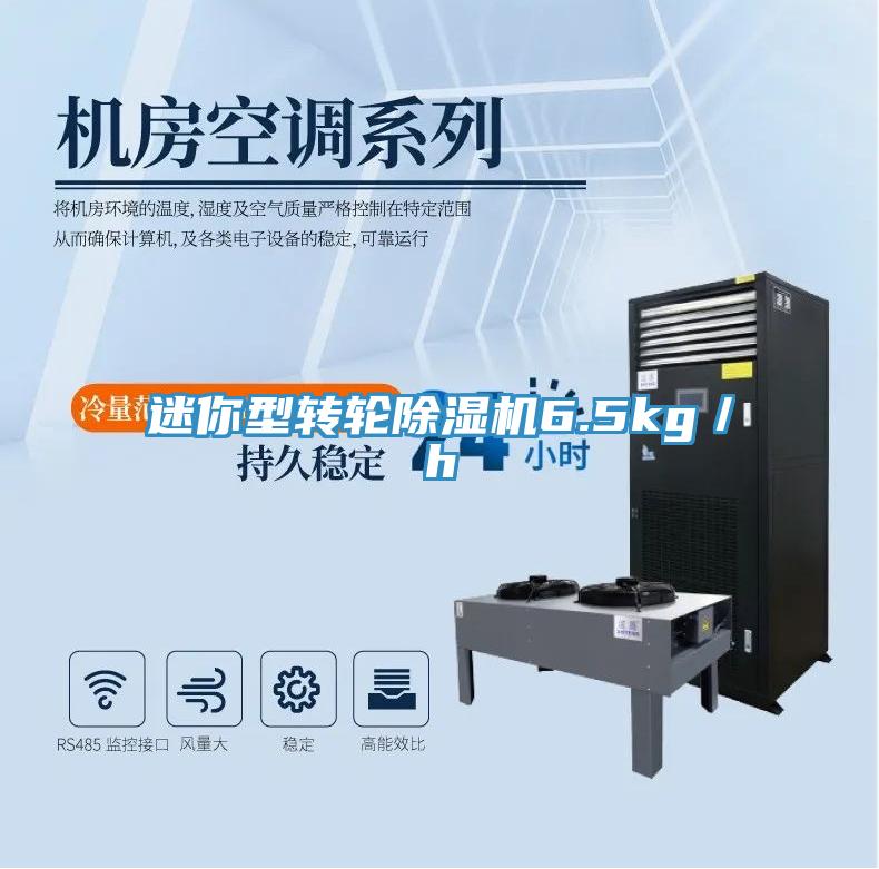 迷你型轉輪蘑菇视频网站6.5kg／h