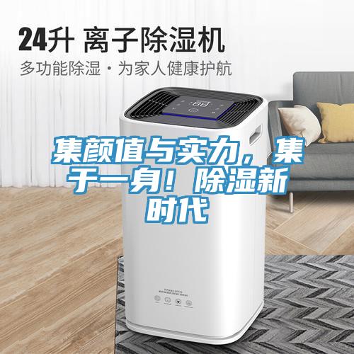 集顏值與實力，集於一身！除濕新時代