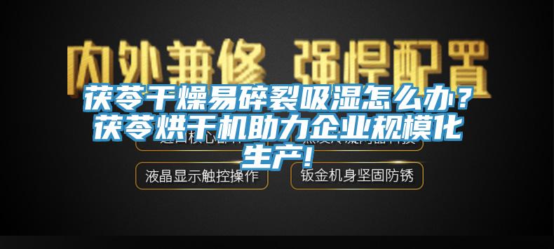 茯苓幹燥易碎裂吸濕怎麽辦？茯苓烘幹機助力企業規模化生產!