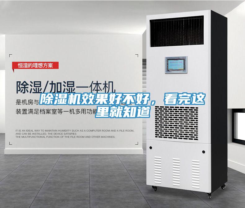 蘑菇视频网站效果好不好，看完這裏就知道