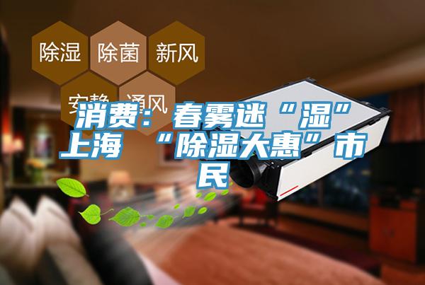 消費：春霧迷“濕”上海 “除濕大惠”市民