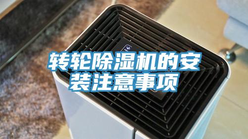 轉輪蘑菇视频网站的安裝注意事項
