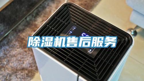 蘑菇视频网站售後服務