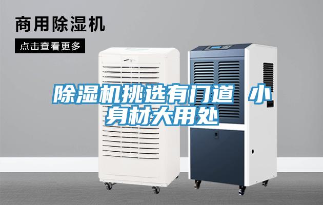 蘑菇视频网站挑選有門道 小身材大用處