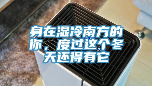 身在濕冷南方的你，度過這個冬天還得有它