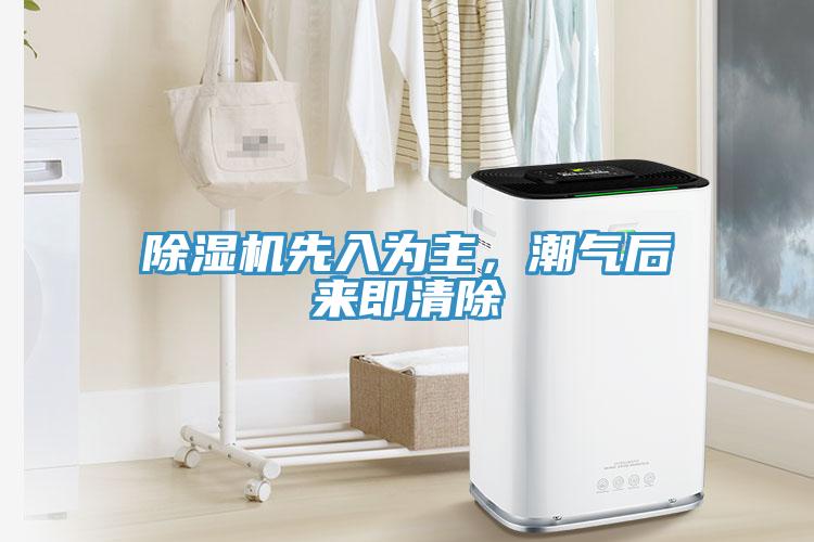 蘑菇视频网站先入為主，潮氣後來即清除