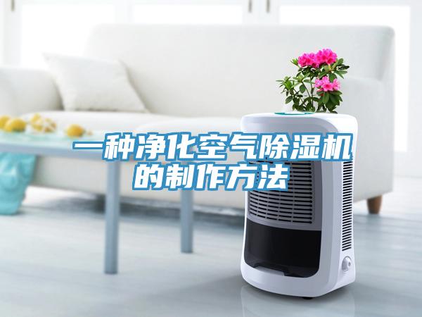 一種淨化空氣蘑菇视频网站的製作方法