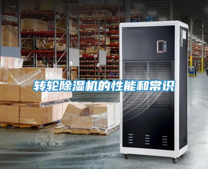 轉輪蘑菇视频网站的性能和常識