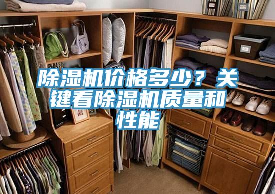 蘑菇视频网站價格多少？關鍵看蘑菇视频网站質量和性能