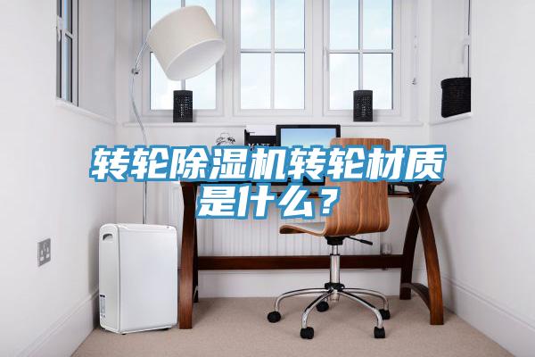 轉輪蘑菇视频网站轉輪材質是什麽？