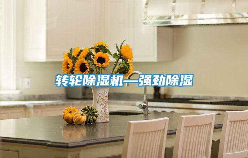 轉輪蘑菇视频网站—強勁除濕