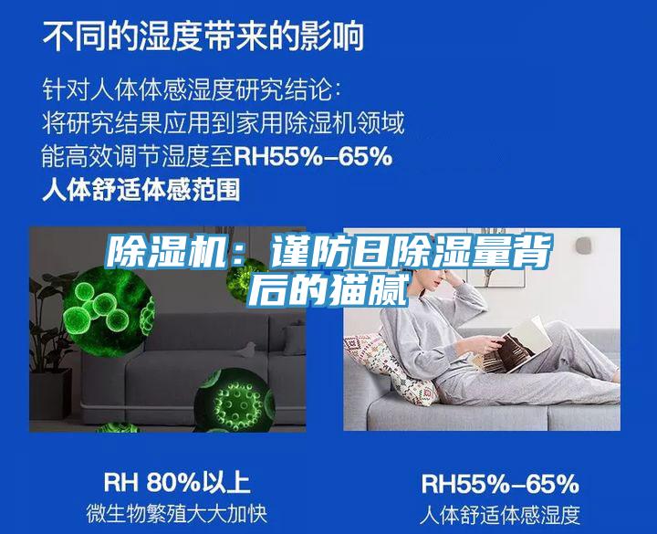 蘑菇视频网站：謹防日除濕量背後的貓膩
