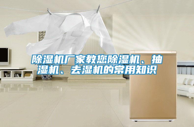 蘑菇视频网站廠家教您蘑菇视频网站、抽濕機、去濕機的常用知識