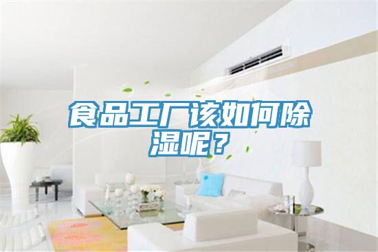 食品工廠該如何除濕呢？