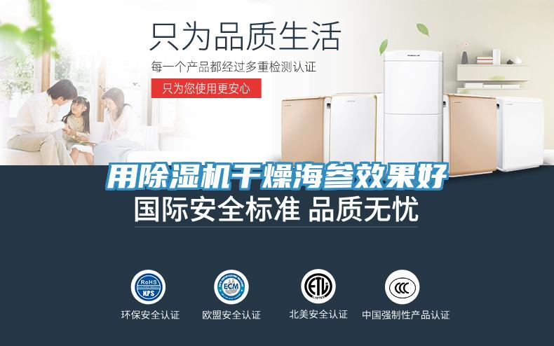 用蘑菇视频网站幹燥海參效果好