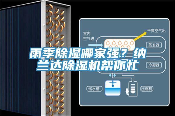雨季除濕哪家強？納蘭達蘑菇视频网站幫你忙