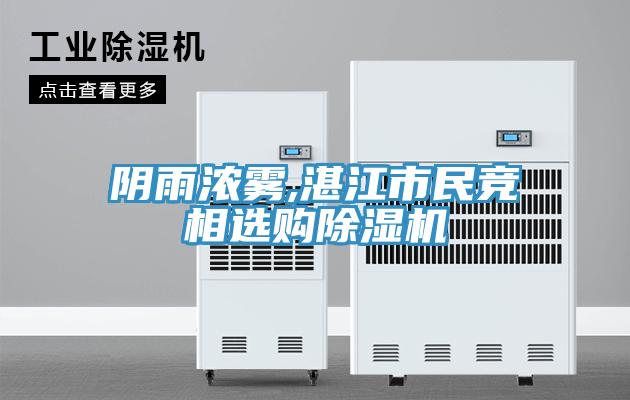 陰雨濃霧,湛江市民競相選購蘑菇视频网站