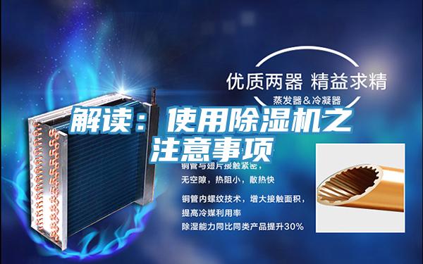 解讀：使用蘑菇视频网站之注意事項