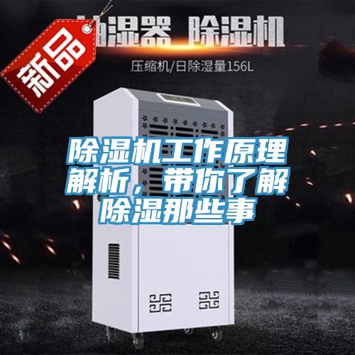蘑菇视频网站工作原理解析，帶你了解除濕那些事