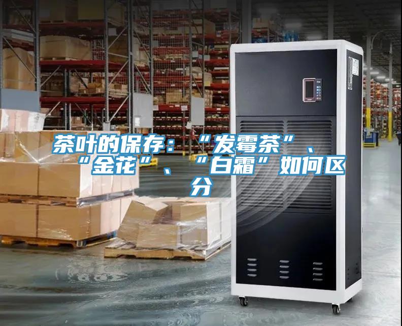 茶葉的保存：“發黴茶”、“金花”、“白霜”如何區分