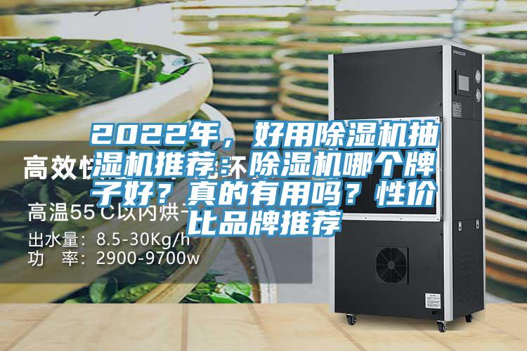 2022年，好用蘑菇视频网站抽濕機推薦：蘑菇视频网站哪個牌子好？真的有用嗎？性價比品牌推薦