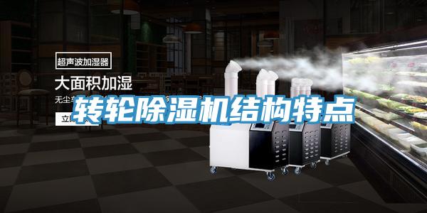 轉輪蘑菇视频网站結構特點