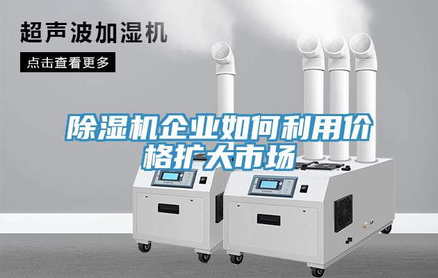 蘑菇视频网站企業如何利用價格擴大市場
