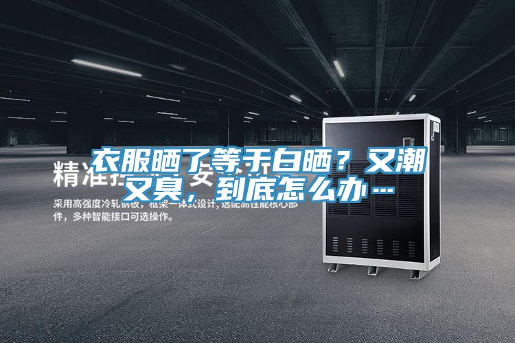 衣服曬了等於白曬？又潮又臭，到底怎麽辦…