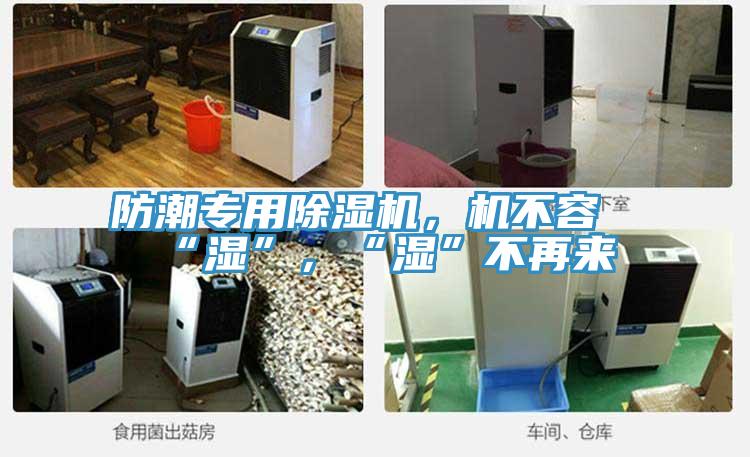 防潮專用蘑菇视频网站，機不容“濕”，“濕”不再來