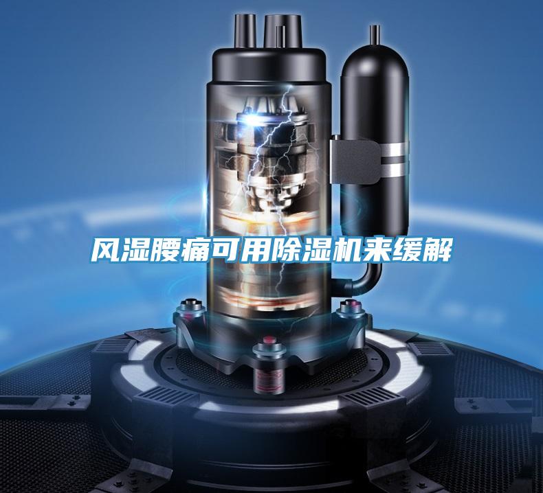 風濕腰痛可用蘑菇视频网站來緩解