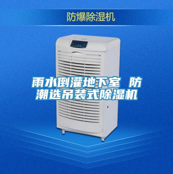 雨水倒灌地下室 防潮選吊裝式蘑菇视频网站