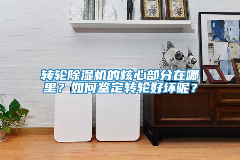 轉輪蘑菇视频网站的核心部分在哪裏？如何鑒定轉輪好壞呢？