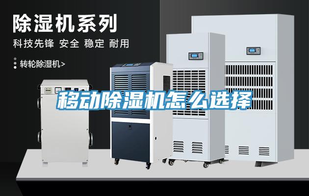 移動蘑菇视频网站怎麽選擇