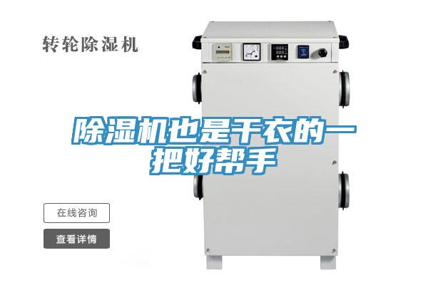 蘑菇视频网站也是幹衣的一把好幫手