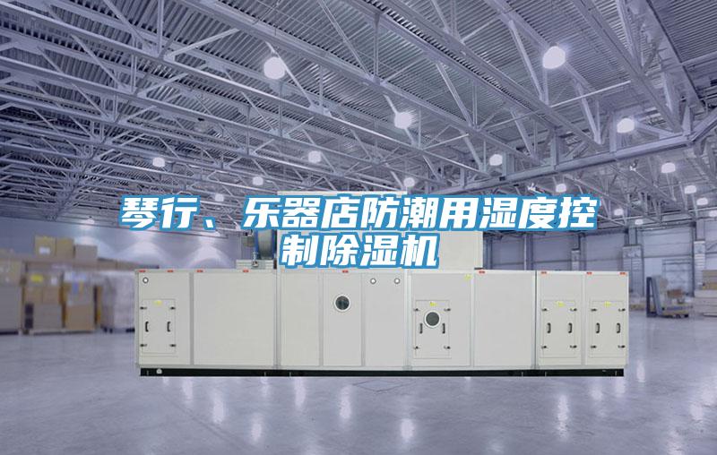 琴行、樂器店防潮用濕度控製蘑菇视频网站