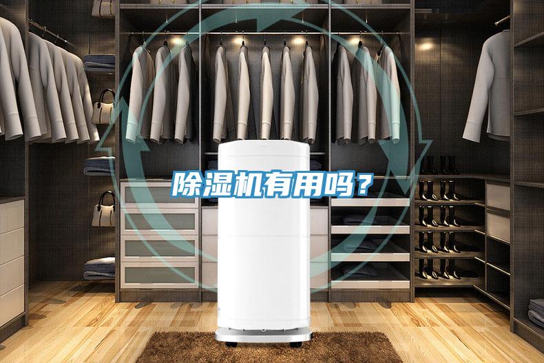 蘑菇视频网站有用嗎？