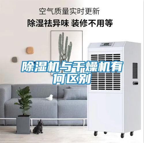蘑菇视频网站與幹燥機有何區別