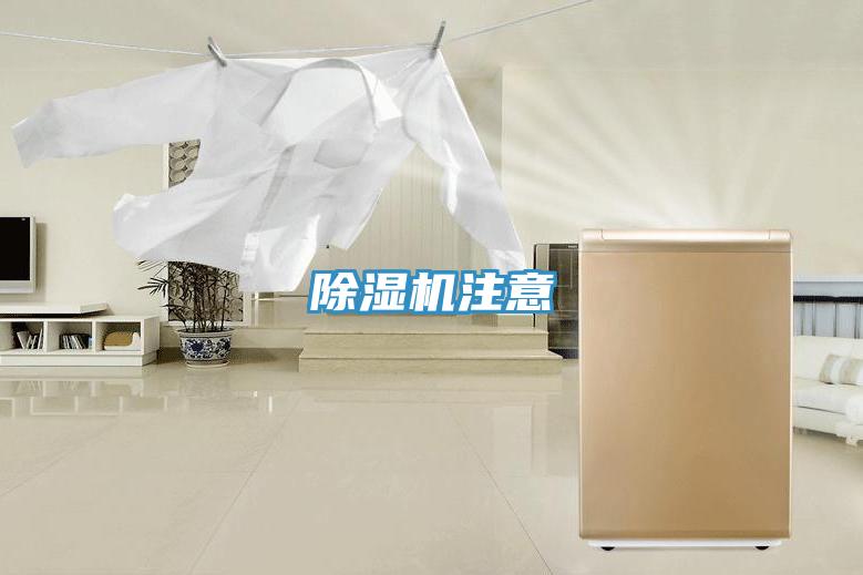 蘑菇视频网站注意