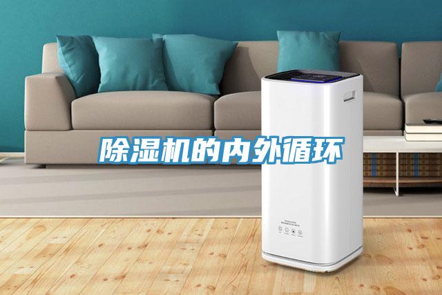 蘑菇视频网站的內外循環