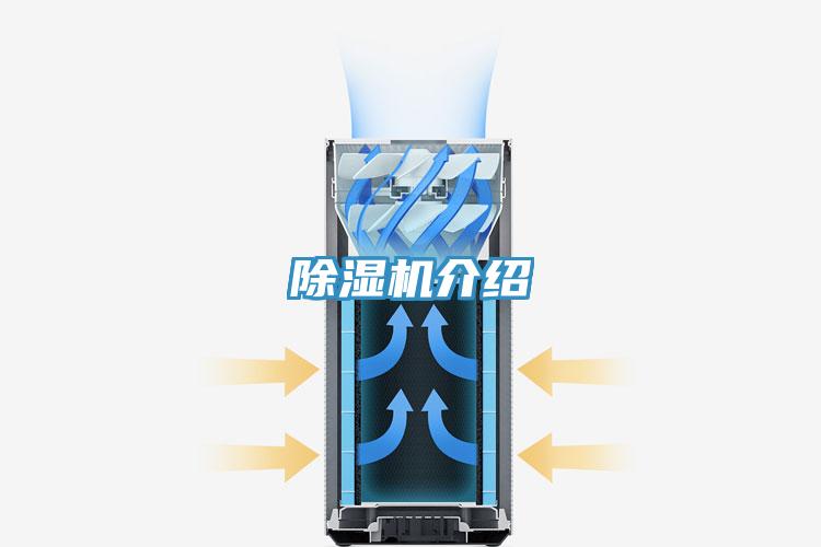 蘑菇视频网站介紹