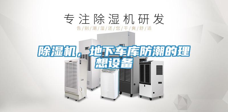蘑菇视频网站，地下車庫防潮的理想設備