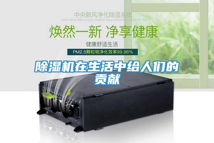 蘑菇视频网站在生活中給人們的貢獻