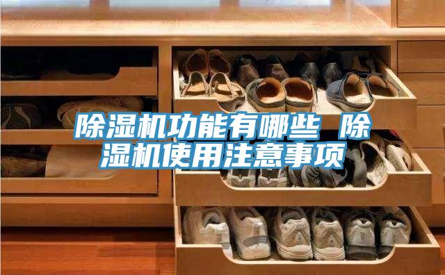 蘑菇视频网站功能有哪些 蘑菇视频网站使用注意事項
