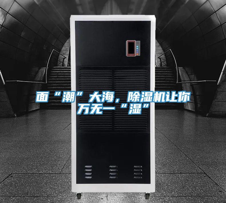 麵“潮”大海，蘑菇视频网站讓你萬無一“濕”