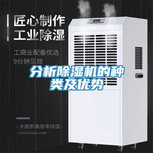 分析蘑菇视频网站的種類及優勢