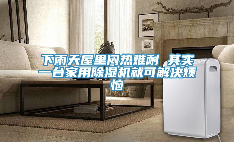 下雨天屋裏悶熱難耐 其實一台家用蘑菇视频网站就可解決煩惱