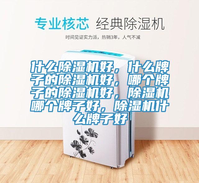 什麽蘑菇视频网站好，什麽牌子的蘑菇视频网站好，哪個牌子的蘑菇视频网站好，蘑菇视频网站哪個牌子好，蘑菇视频网站什麽牌子好