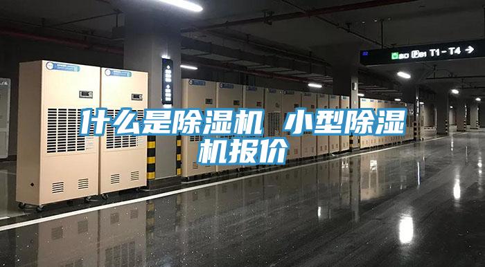 什麽是蘑菇视频网站 小型蘑菇视频网站報價